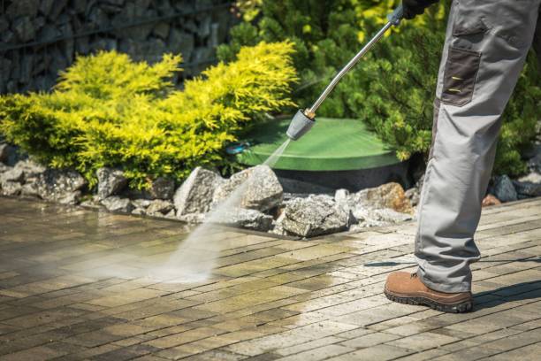 Best Animal Enclosure Cleaning  in Gratton, VA