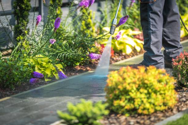 Best Spring Cleaning  in Gratton, VA